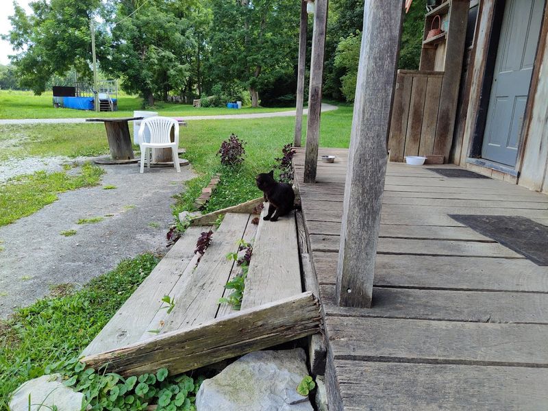 This historic Kentucky country store still feels frozen in time - Decor Hint The creek adds to the experience