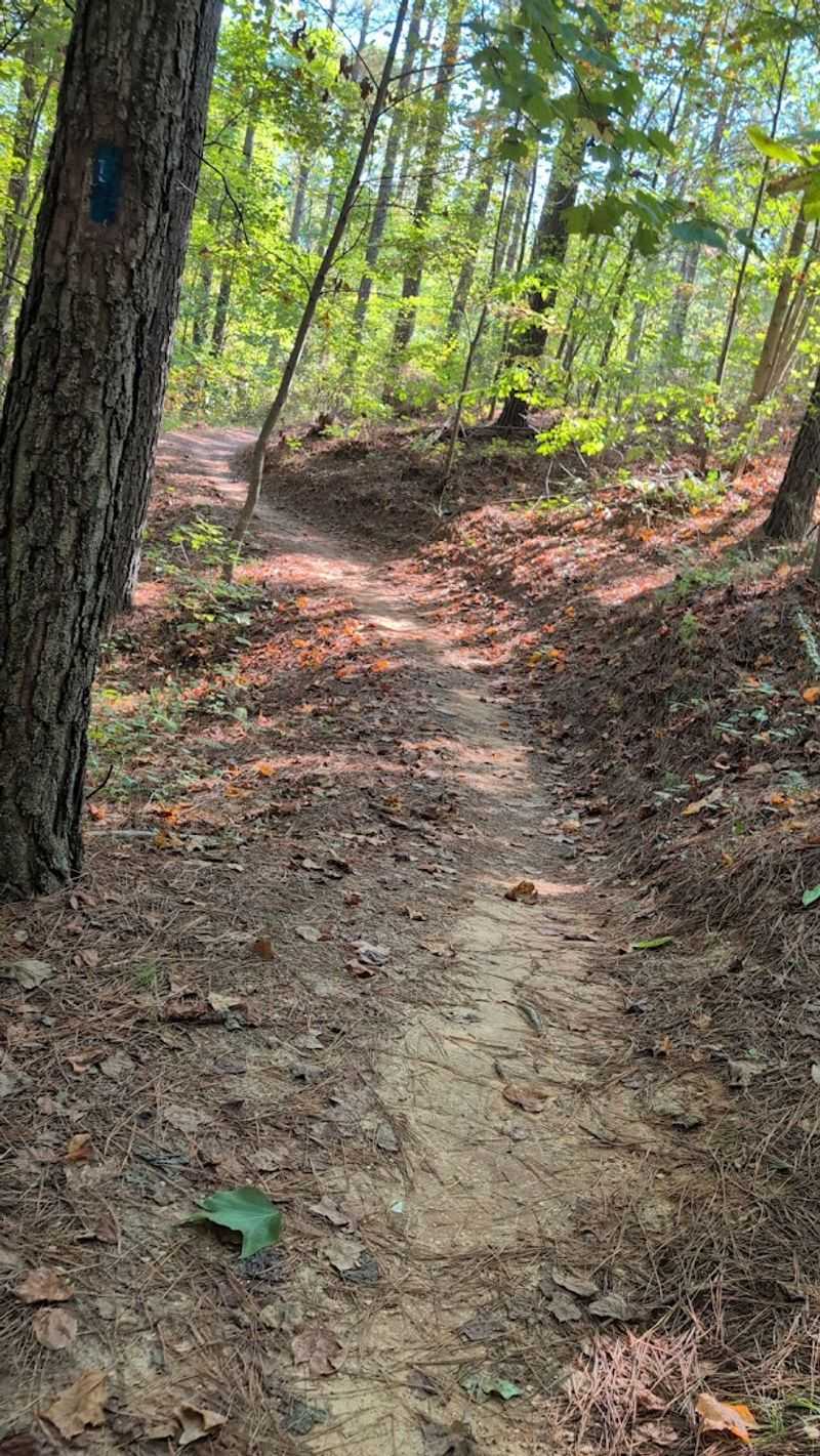 Outdoor Recreation at Carters Lake and Nature Park
