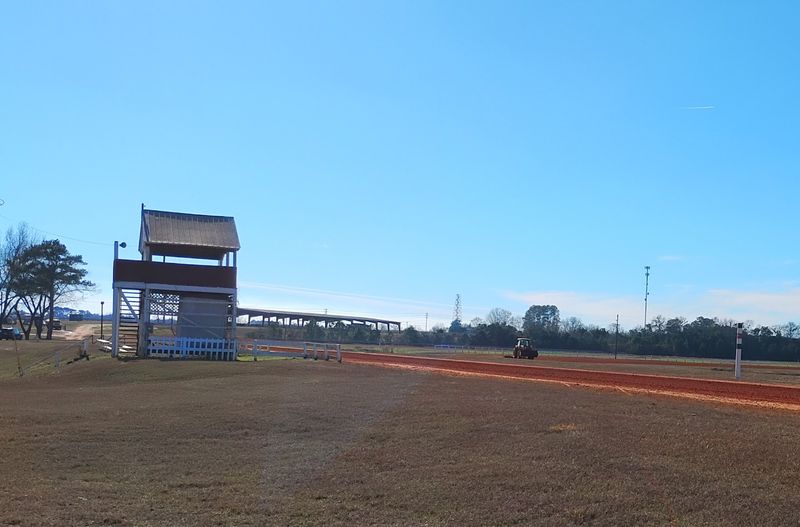 The Annual Harness Horse Festival Every April
