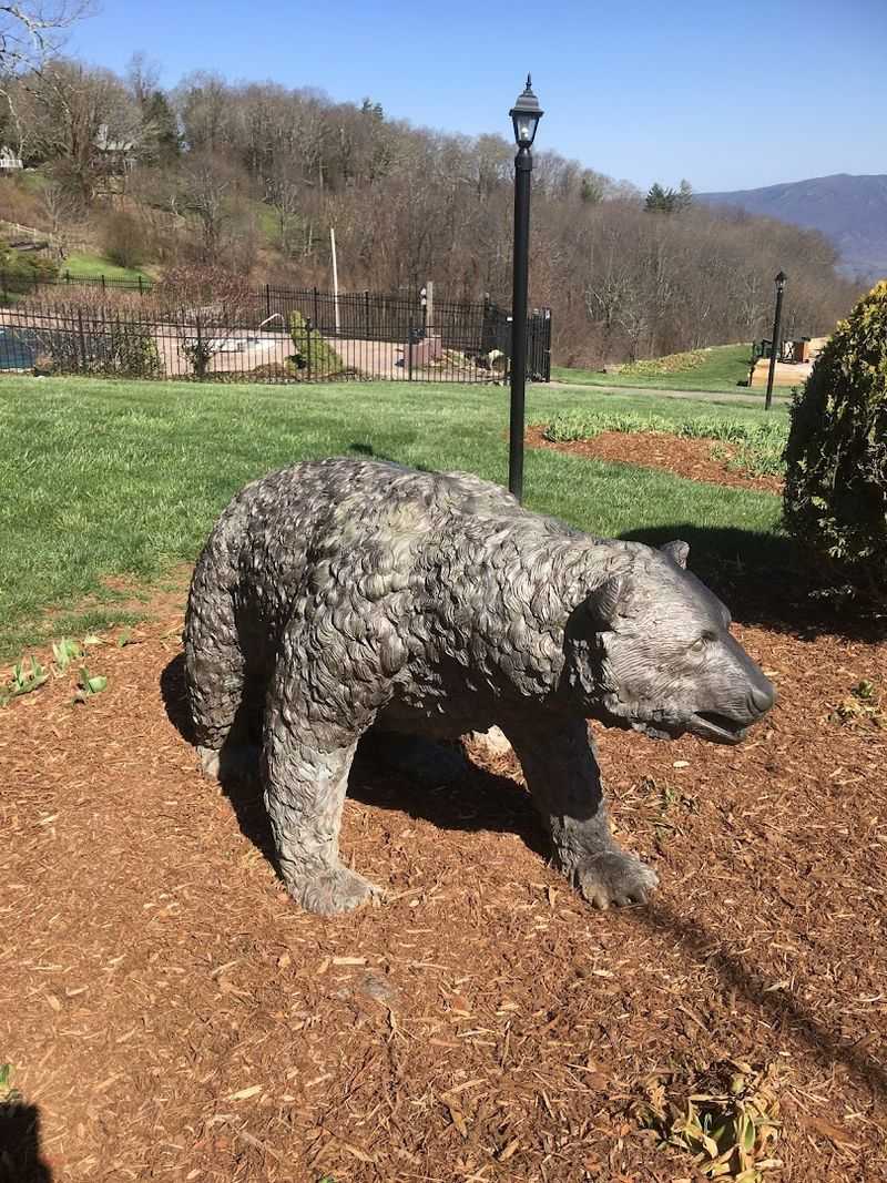 Wildlife And Natural Wonders