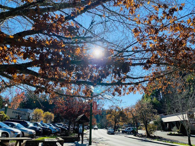 The Public Schools Here Have Earned Strong Reputations