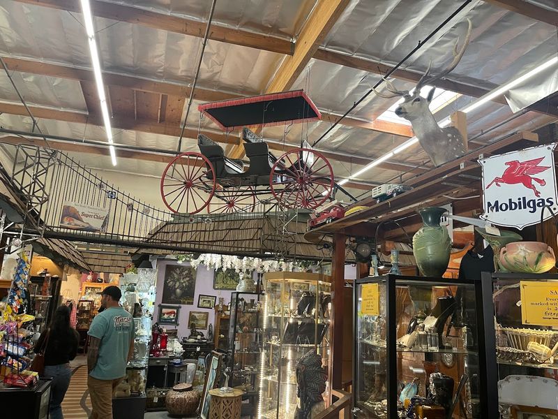 The Layout Feels Like a Treasure Hunt Rather Than a Showroom