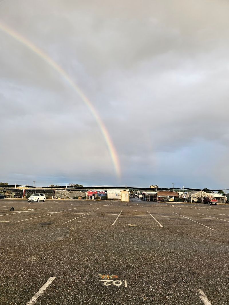 Free Admission And Free Parking Every Visit