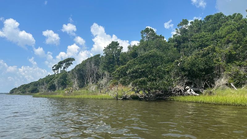 Barrier Island Landscape