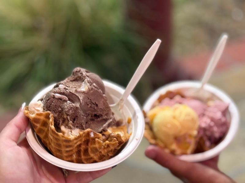 Larry's Ice Cream & Gelatos