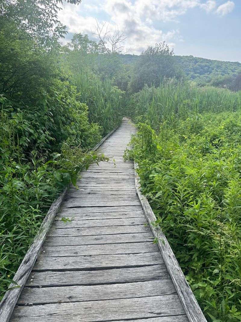 Appalachian National Scenic Trail in Georgia