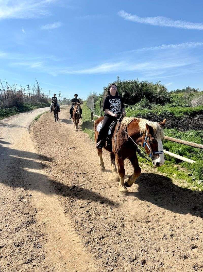 S&D Horseback Riding — Norco