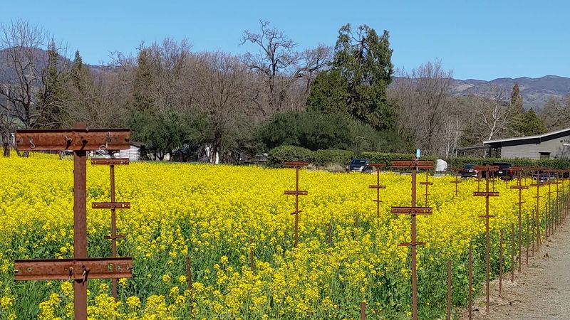 These Storybook California Towns Feel Like Europe In April - Decor Hint St. Helena