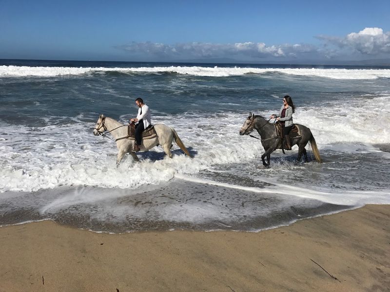 Monterey Bay Equestrian Center — Monterey County