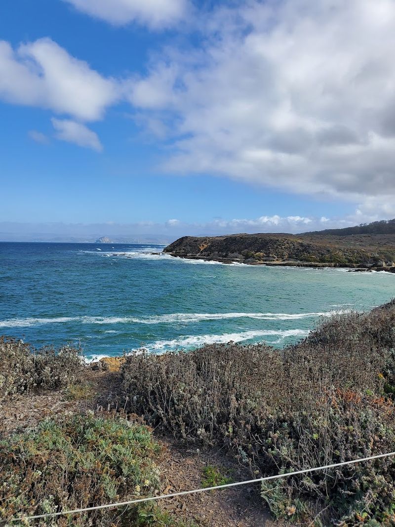 Bluff Trail, Montana de Oro State Park, Los Osos