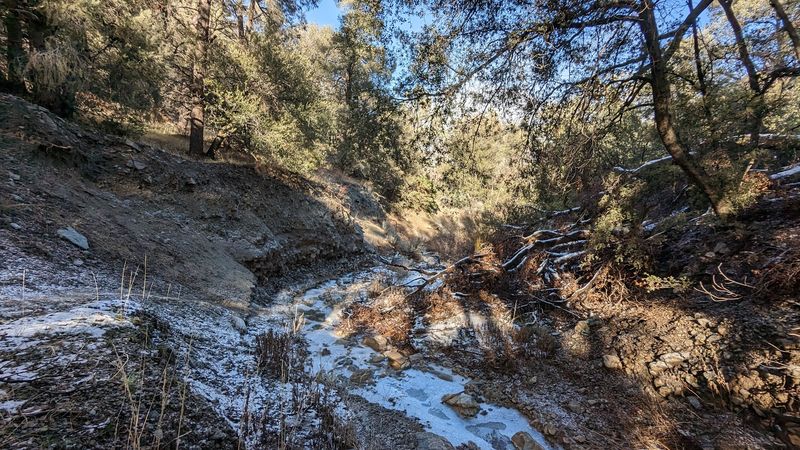 San Emigdio Canyon Trail, Wind Wolves Preserve, Kern County
