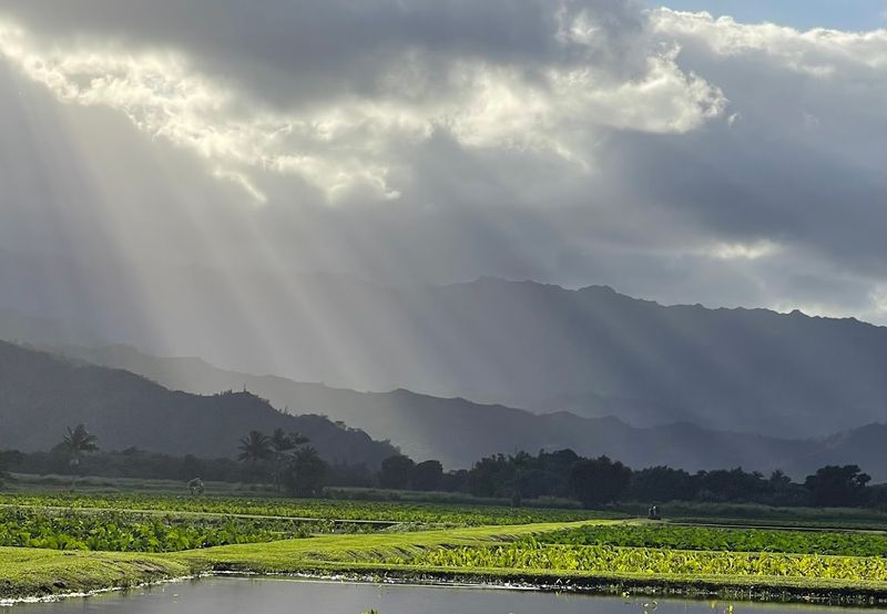 Why Kauai Feels Different From Other Hawaiian Islands