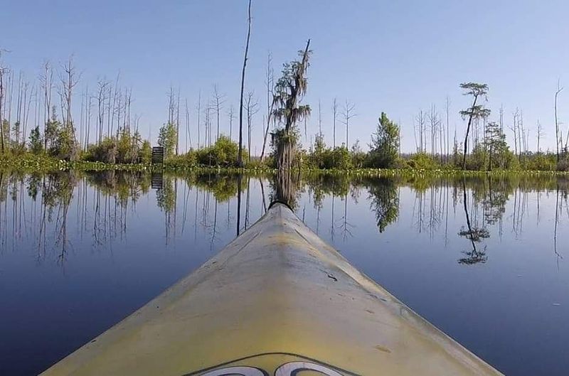 Okefenokee Swamp