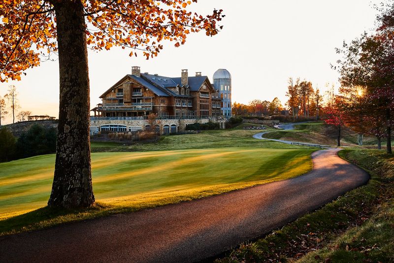 Leatherflower At Primland