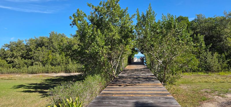 These 10 Tranquil Florida Spots Are Still Under The Radar - Decor Hint Lignumvitae Key Botanical State Park, Monroe County
