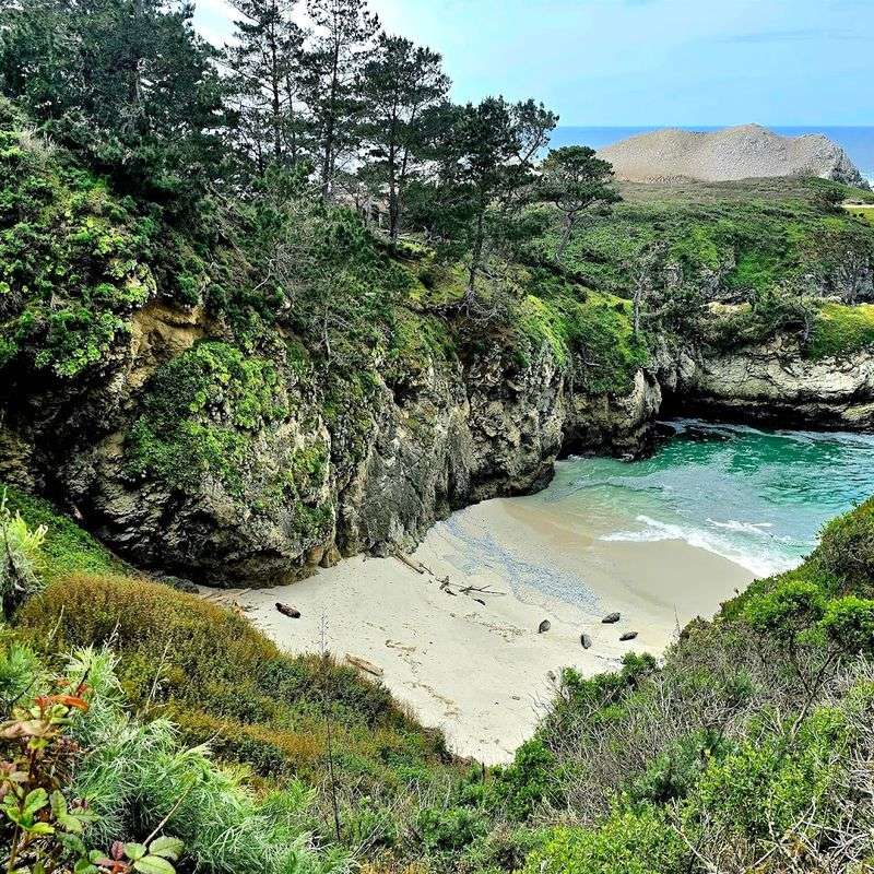 This Spring Is The Perfect Time To See Some Of The Most Beautiful California State Parks - Decor Hint Point Lobos State Natural Reserve