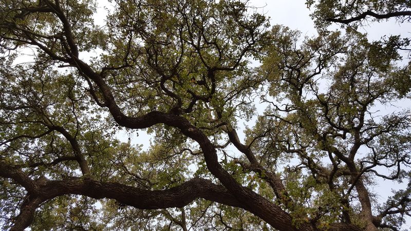 Deep Historical Roots On The Land