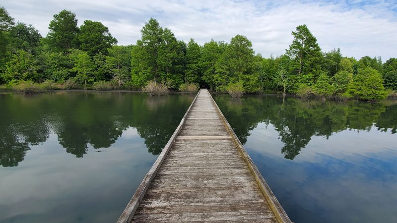 Lake Phelps At Pettigrew State Park