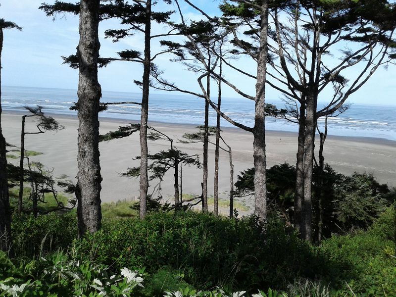 A Quiet Coast Without The Usual Crowds