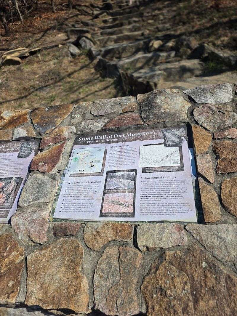 Educational Programs That Bring History and Nature to Life