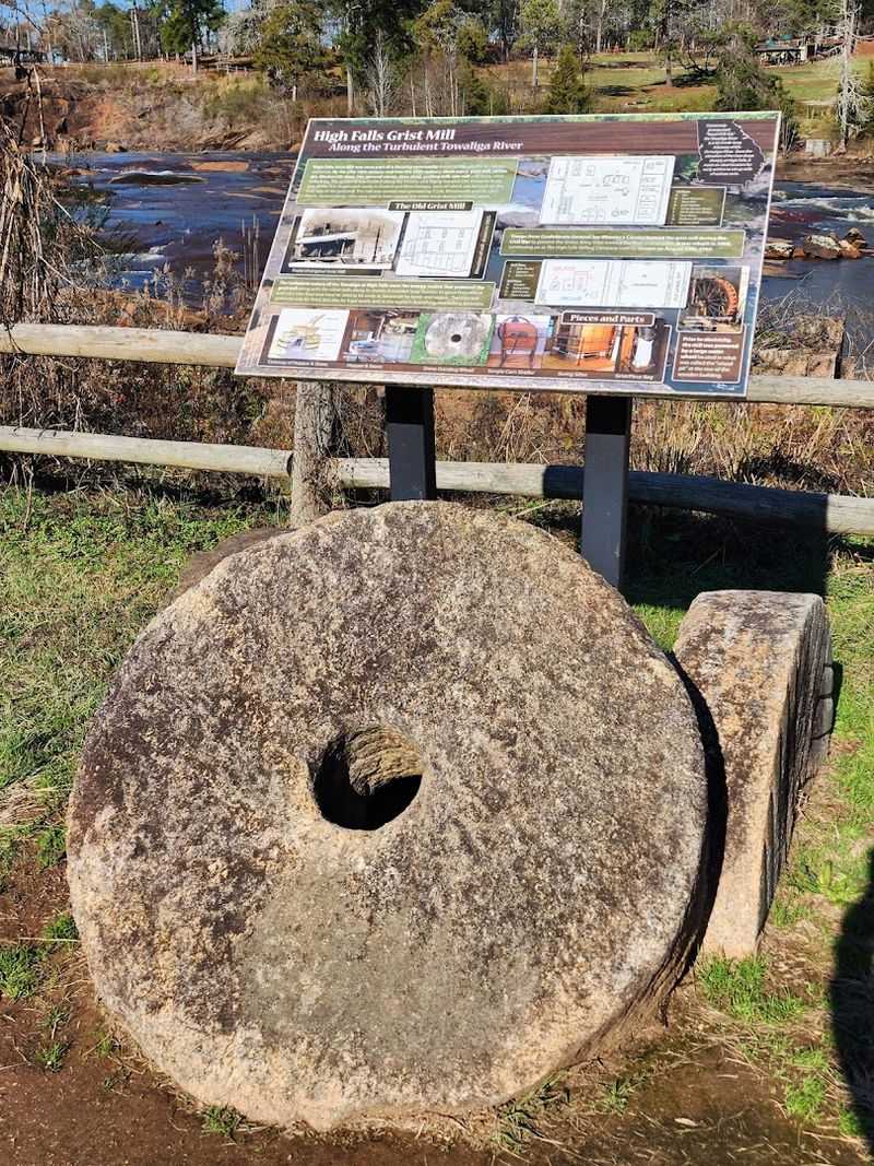 Educational Programs on Nature and Local History