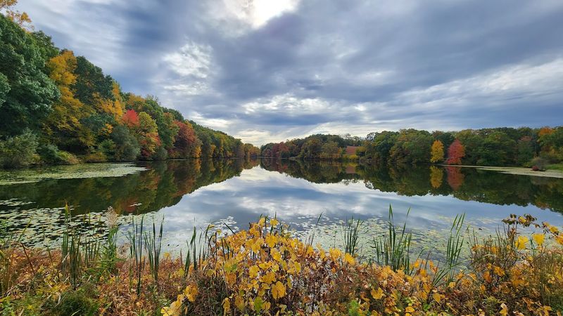 12 New York State Parks So Beautiful That A Lot Of People Have No Idea They Even Exist - Decor Hint Rockefeller State Park Preserve