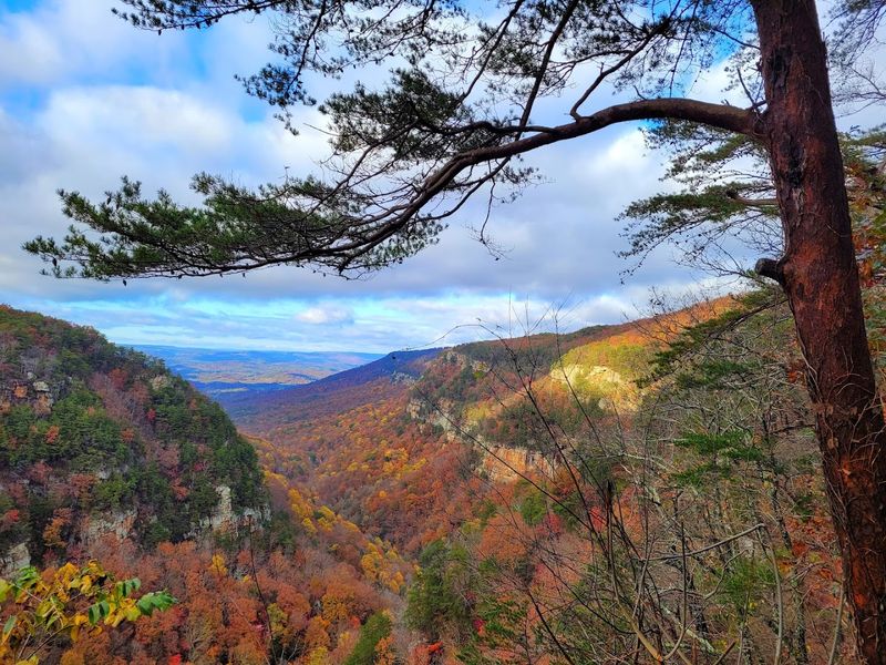 Cloudland Canyon State Park