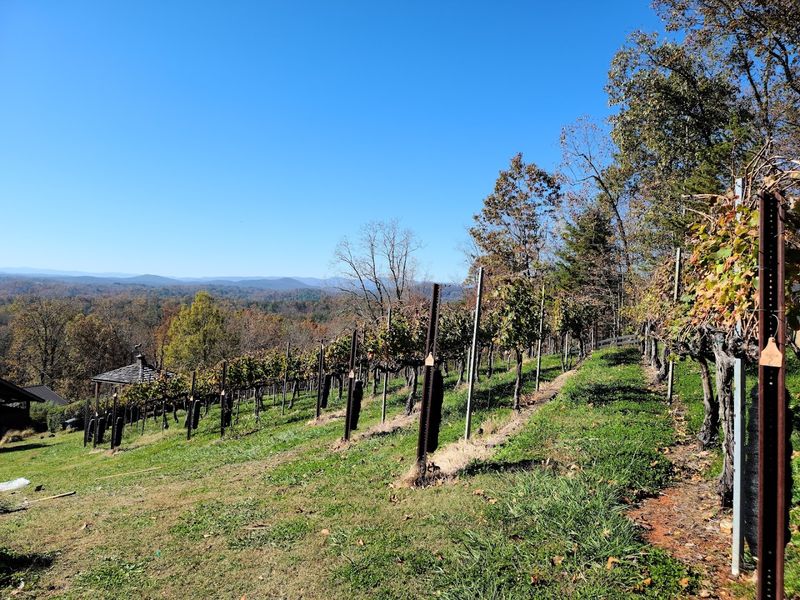 Wolf Mountain Vineyards and Winery