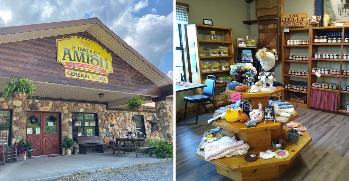 More People Should Know About This Amish Store In Blue Ridge Georgia With Its Famous Bear Jam - Decor Hint