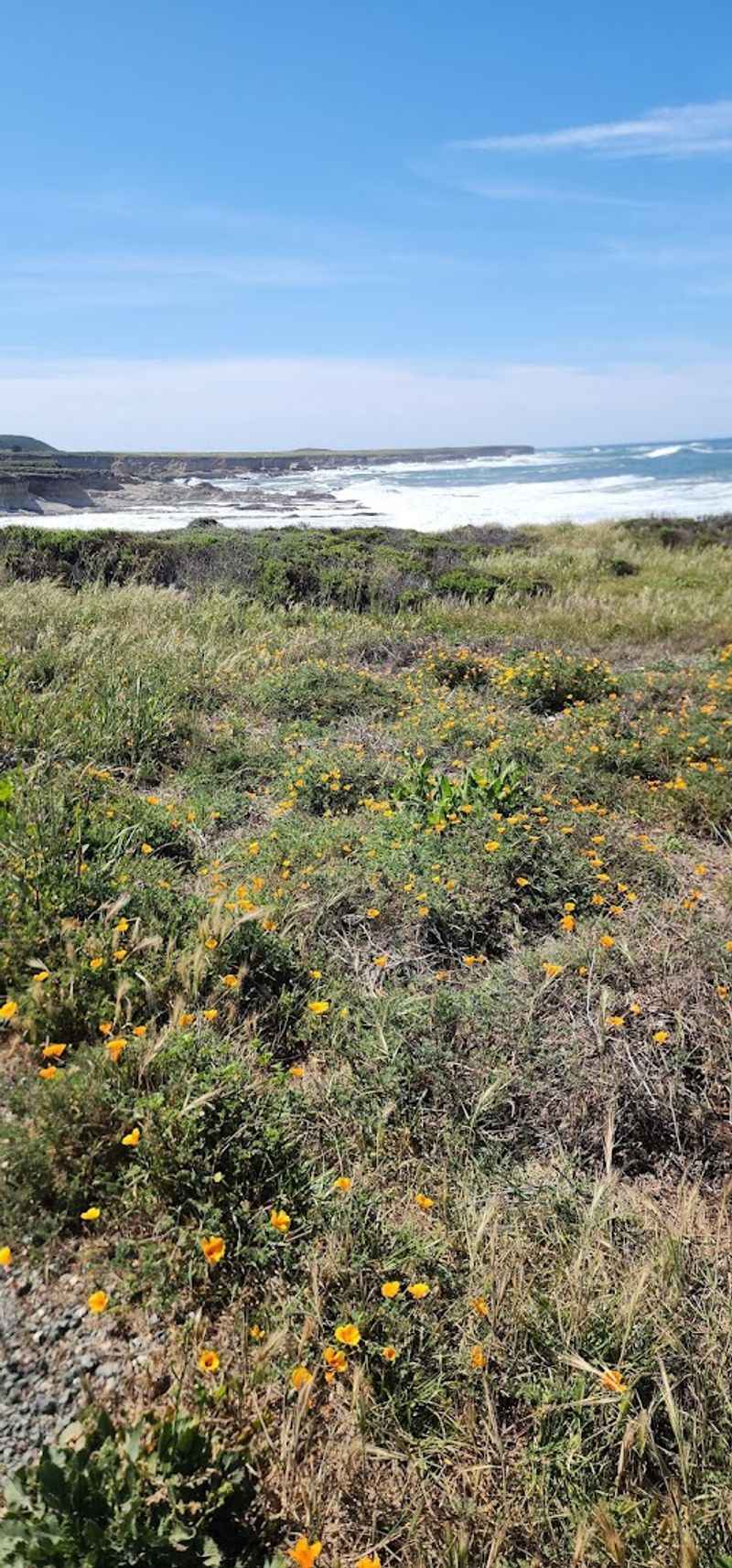 Montaña De Oro State Park Campground, Los Osos
