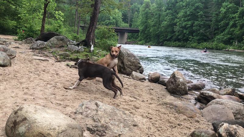 Natural Riverside Seating Rocks
