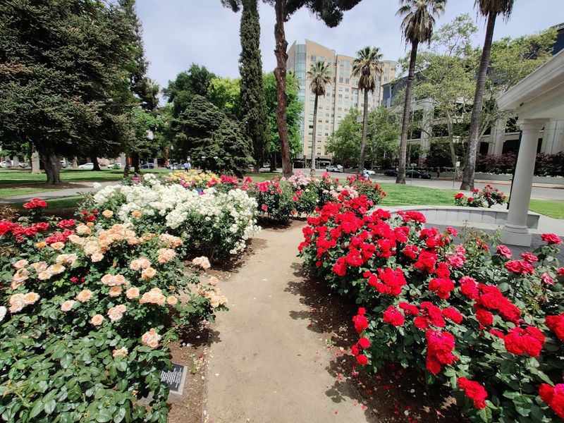 Most People Don't Know About This Stunning 40-Acre Rose Garden In California - Decor Hint Free To Enter Every Single Day