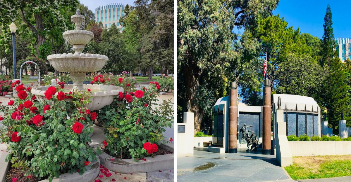 Most People Dont Know About This Stunning 40 Acre Rose Garden In California - Decor Hint