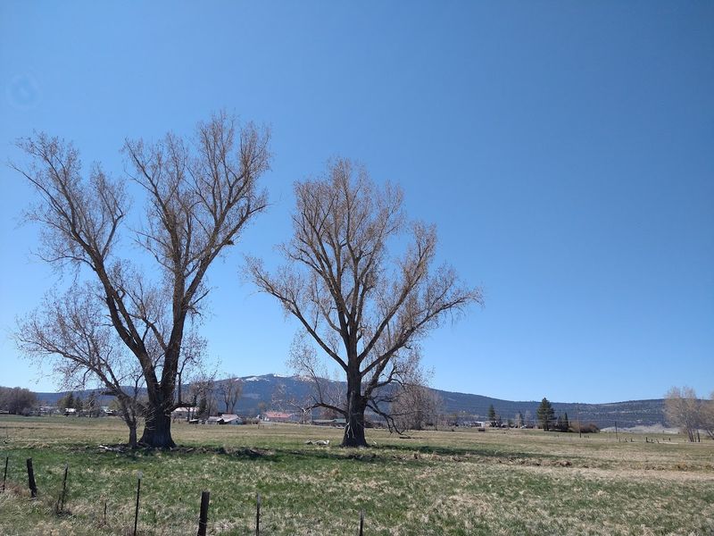 A Town With A Name That Means Heights