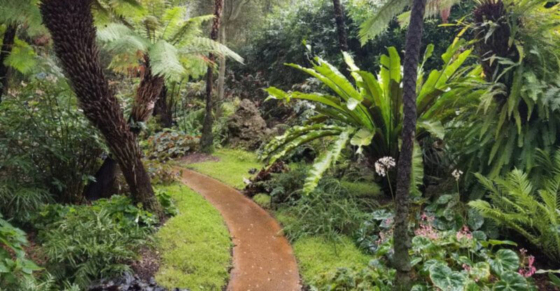 Most People Have No Idea This Lush Botanical Garden In California Even Exists