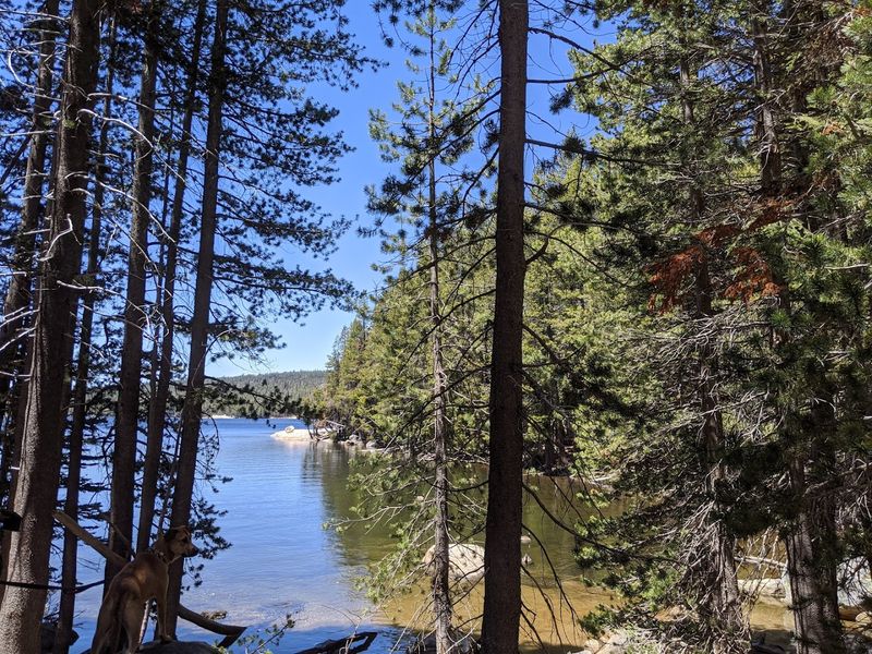 This California Bike And Hike Trail Has Scenic Overlooks Worth The Climb - Decor Hint The Trail Connects Communities Along Highway 4