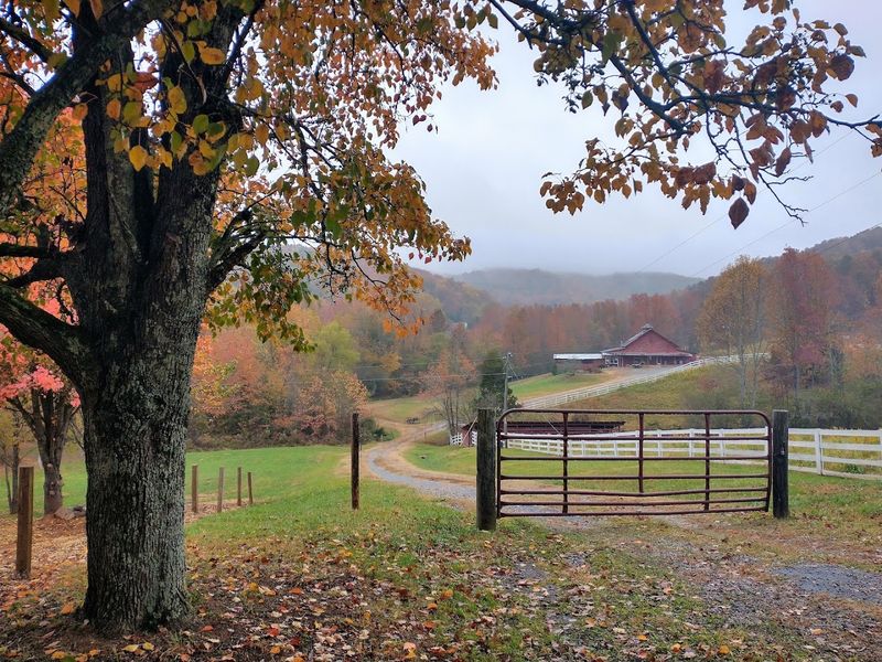 Russell-Brasstown National Scenic Byway Loop