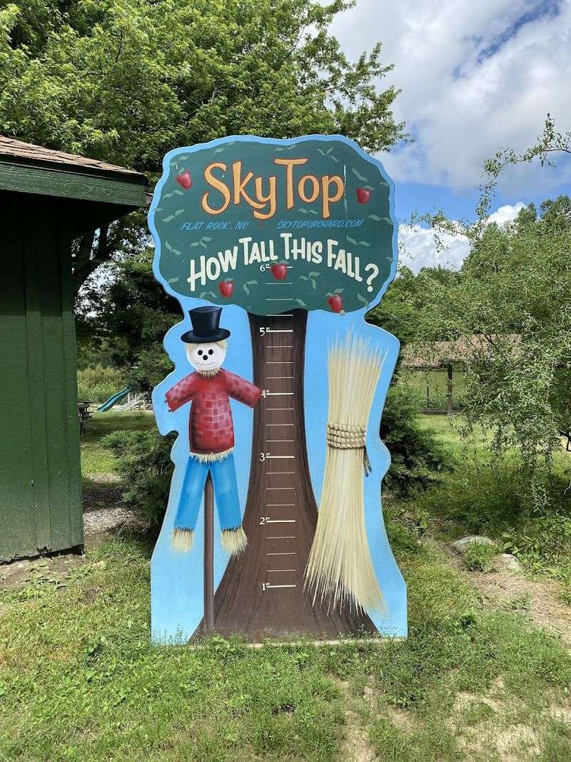 Family-Owned Legacy Since 1982