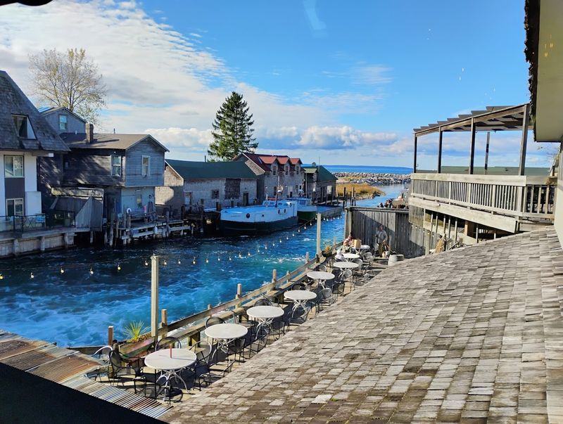 8 Michigan Restaurants Known For Fried Fish Done Right - Decor Hint The Cove