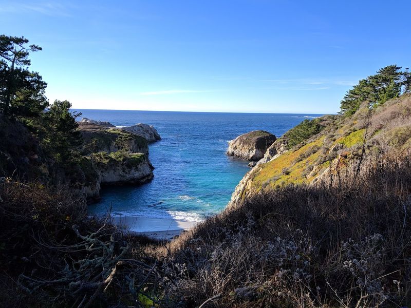Point Lobos State Natural Reserve
