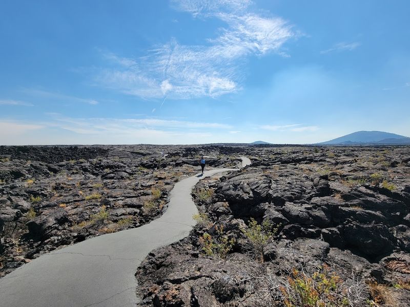 The 7-Mile Loop Road Experience
