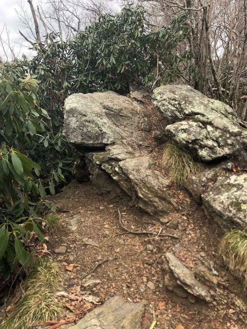 A Community Favorite With Consistently Strong Hiker Reviews