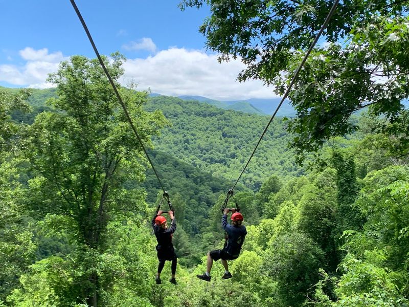 Navitat Canopy Adventures