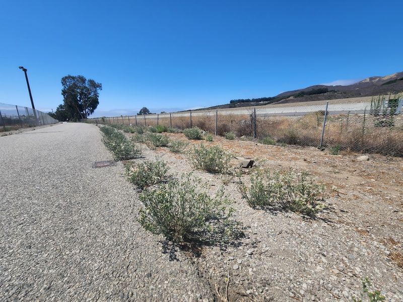 Paved Surface That Welcomes Cyclists, Walkers, And Equestrians