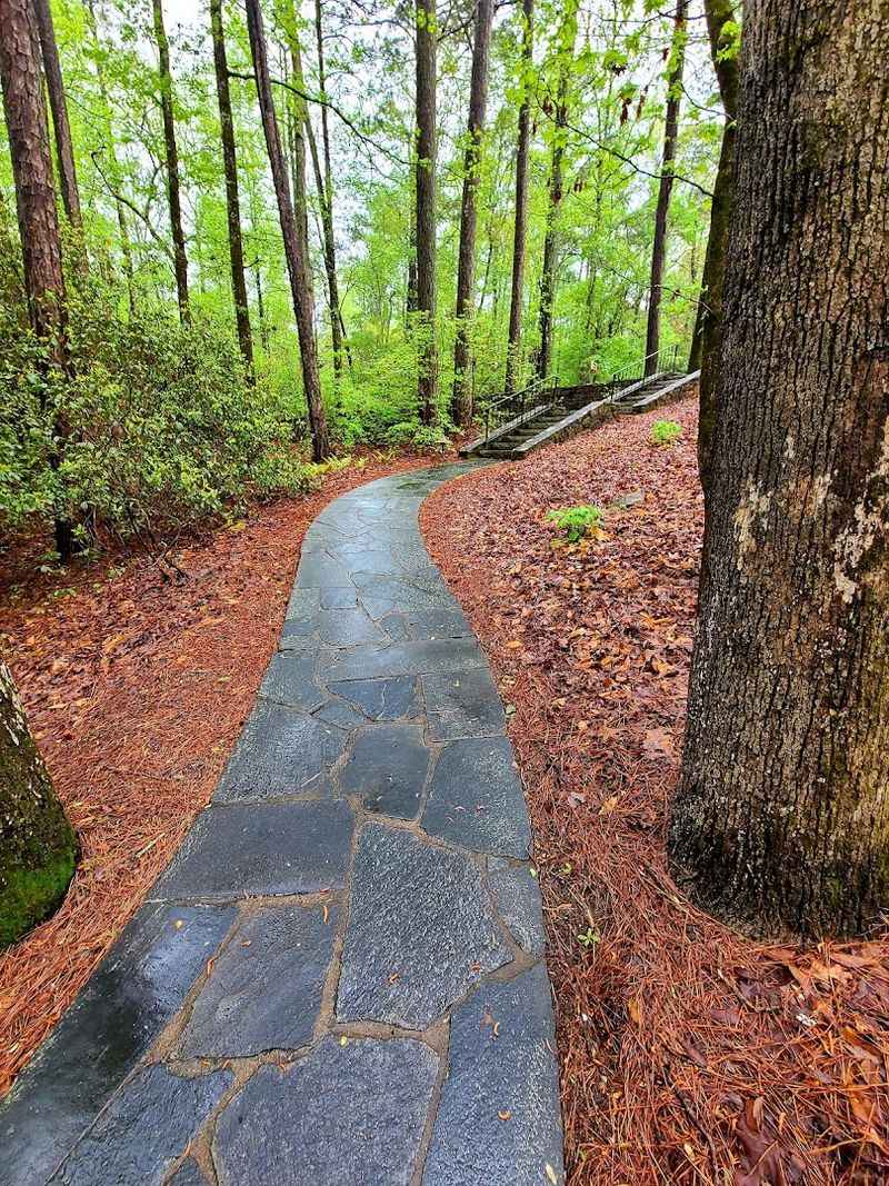 Easy Access via a Winding Woodland Walkway