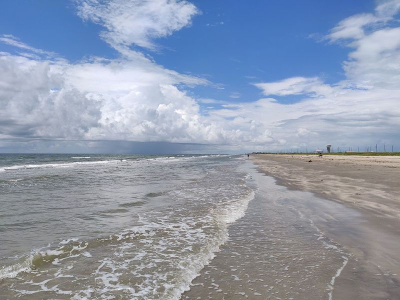 Galveston Island State Park