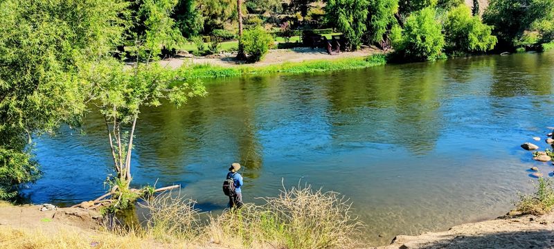 Why does the Western Division stand out?