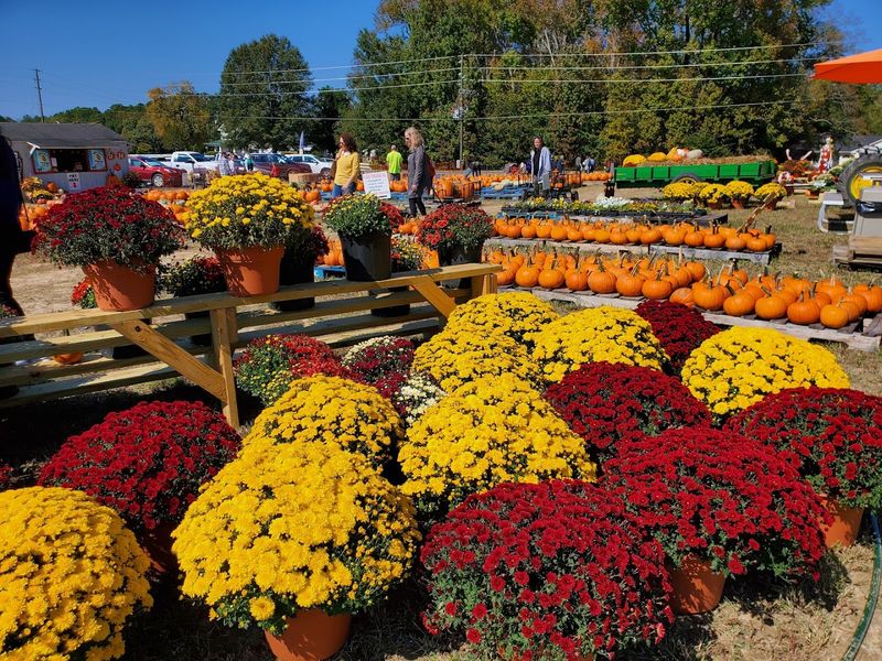 Ragan And Holly's Pumpkin Patch