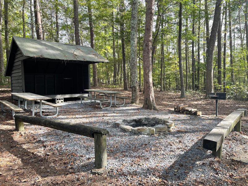 Picnic Areas Designed for Relaxed Outdoor Meals