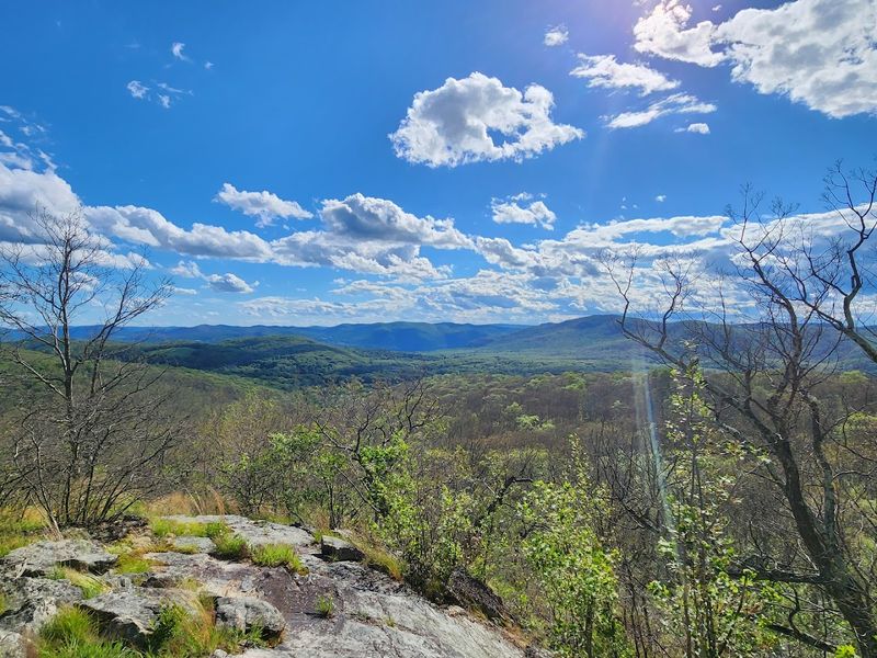 The Hudson Valley's Best Kept Trail Secret